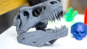 crâne de dinosaure en 3D
